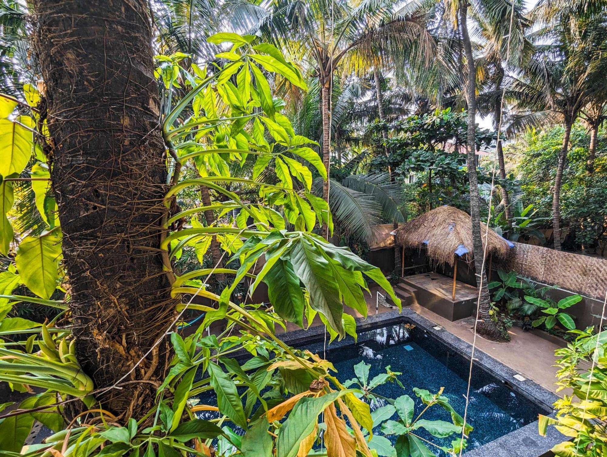 Nalanda Retreat Goa Hotel Mandrem Bagian luar foto